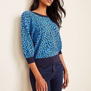 Ann Taylor Blue Leopard Puff Sleeve Sweater